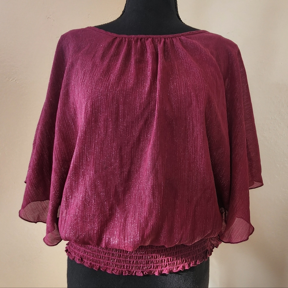 Beautiful Shimmery Plum Blouse, Size L